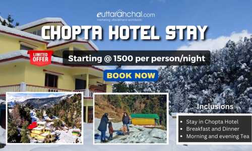 Hotel Package in Chopta - Stay with Meals