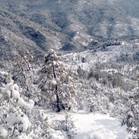 Abbot Mount regions after snowfall in winters