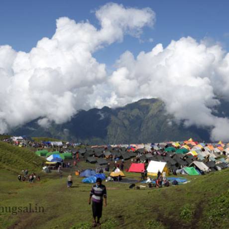 Tents for pilgrims in Bedni Bugyal during Nanda Devi Raj Jat 2014.