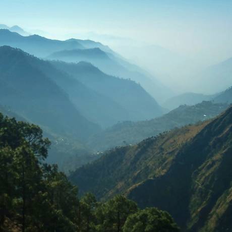 Dense green mountains view from Bhimtal road.