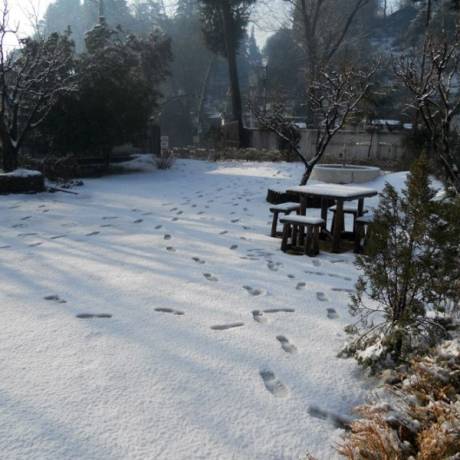 Snowfall in Bhowali