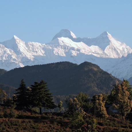 A beautiful morning view of snow capped mountains as seen from Chaukori, Pithoragarh