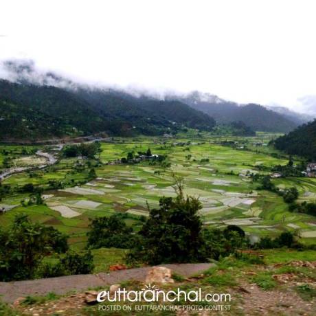 A beautiful view of village Binta near Dwarahat, Uttarakhand.