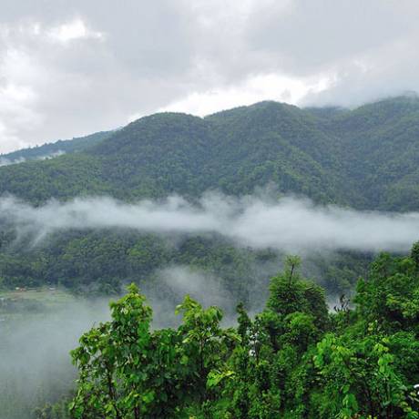 Hills near Haldwani during monsoons
