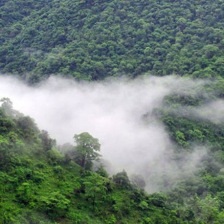 Forest near Haldwani