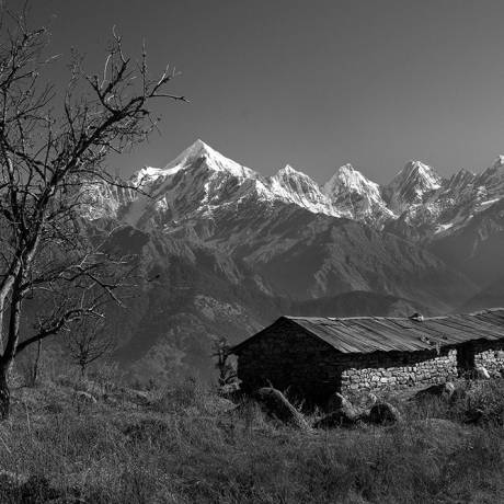 An abandon hut and Panchchuli peaks in the backdrop as seem from Munsiyari. 