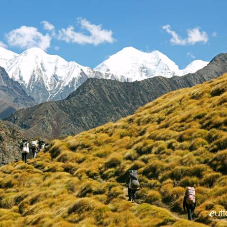 Trekkers going to Nanda Devi Base Camp