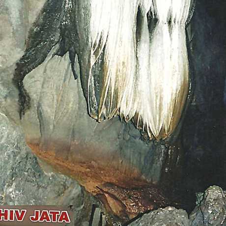 Shiv Jata inside Caves