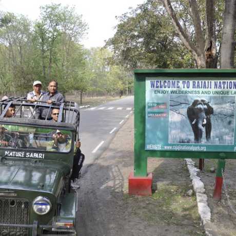 Jeep Safari in Rajaji Tiger Reserve