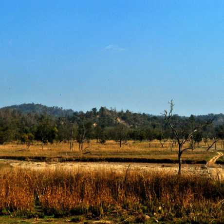 Hills, forests, river and wildlife