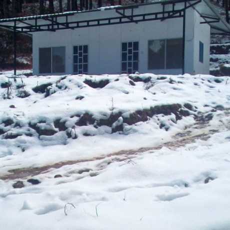 Ranichuari during snowfall