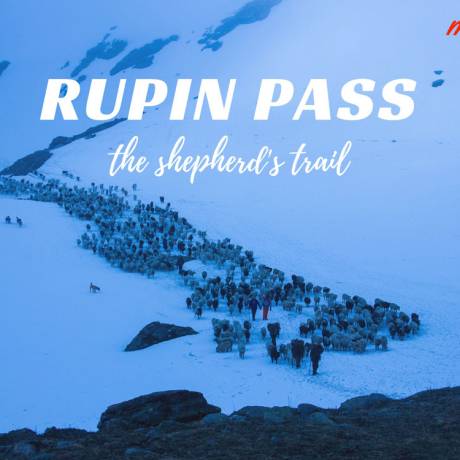 Rupin Pass Trekking