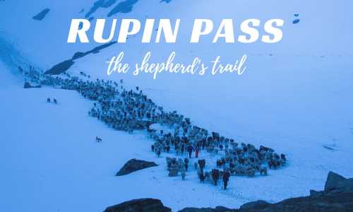 Rupin Pass ex-Sankri Trekking