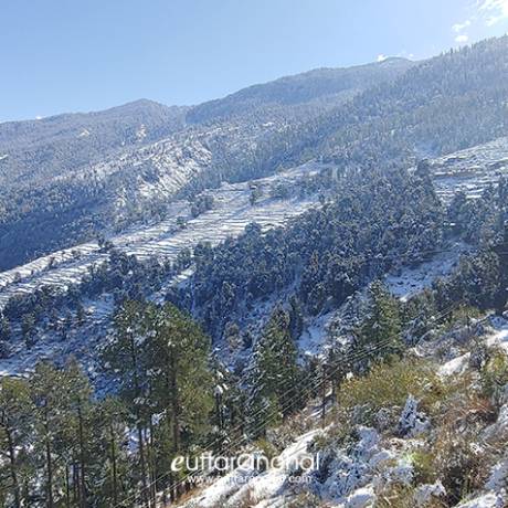 Nearby area of Sankri village after snowfall