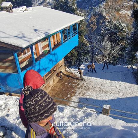 Children enjoying the snowfall in Sankri village.