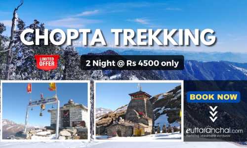 Chopta 2 Nights Trekking Tour with Tungnath Chandrashila